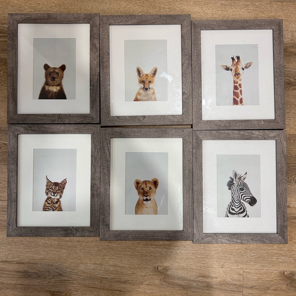 Nursing baby animal photos